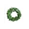 Hello Honey® Preserved Genuine Boxwood Wreath